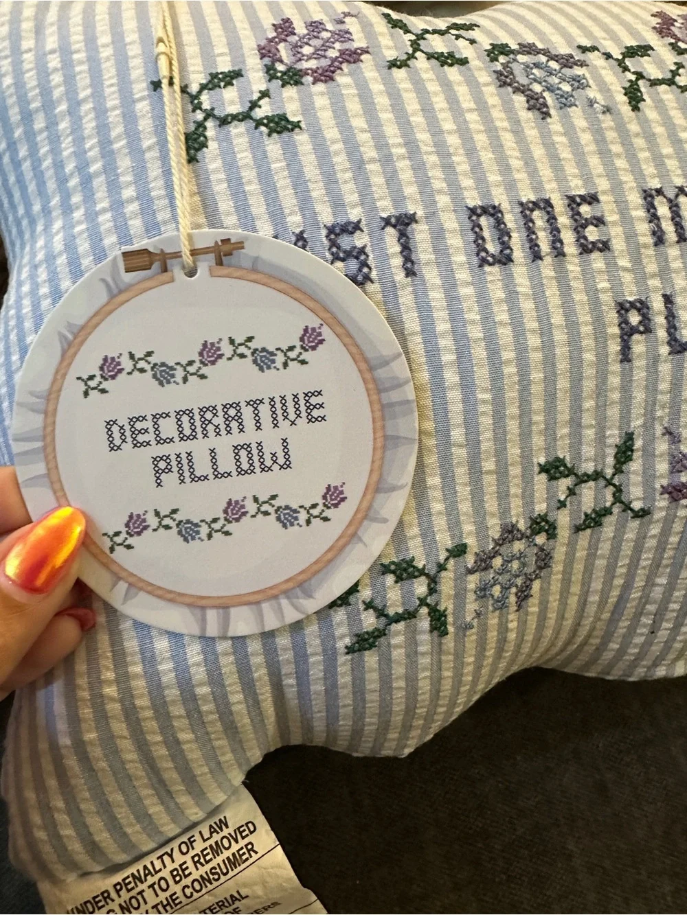Embroidered 'Just One More Chapter Please' Decorative Pillow - Blue Stripe